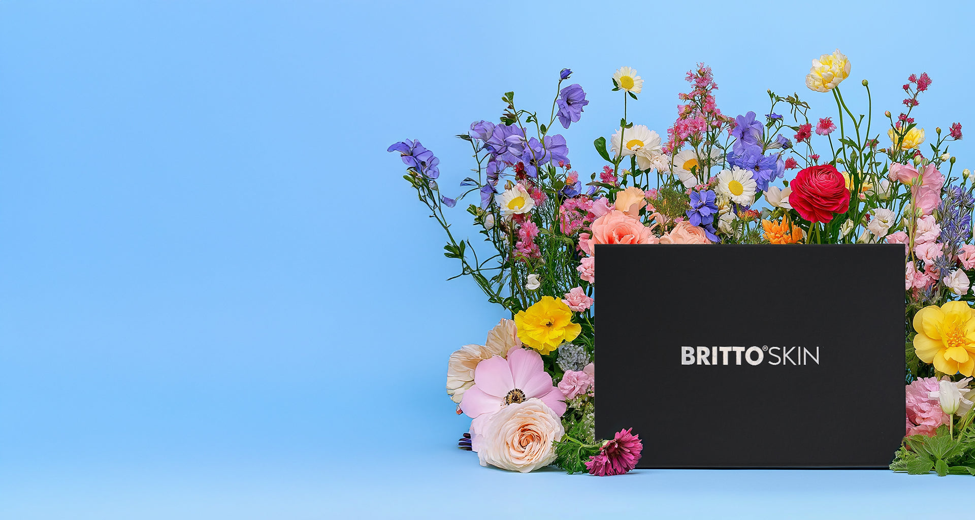 The Signature Set Box surrounded by flowers